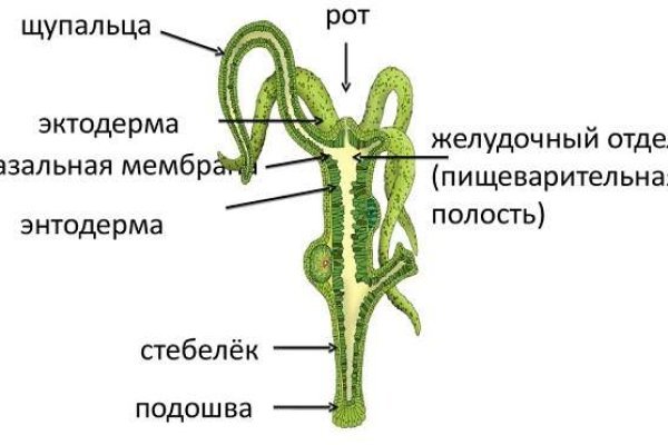 2krn ссылка