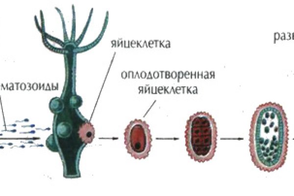 Кракен kr2connect co