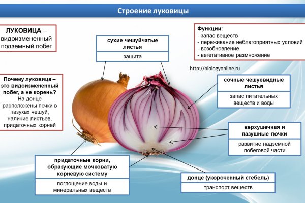 Кракен рабочая ссылка на официальный магазин